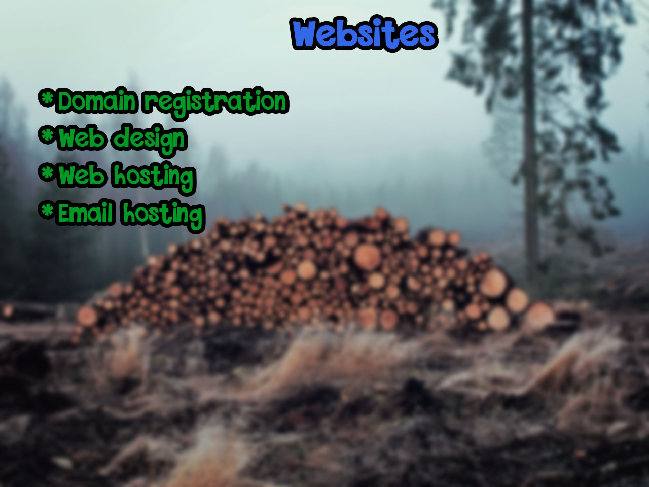 Slide 3